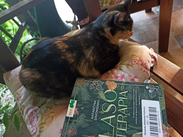 kot leżący na poduszce, obok książki z tytułem "Lasoterapia"