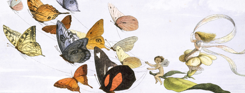 Ilusracja przedstawia bajkowe motyle i postacie